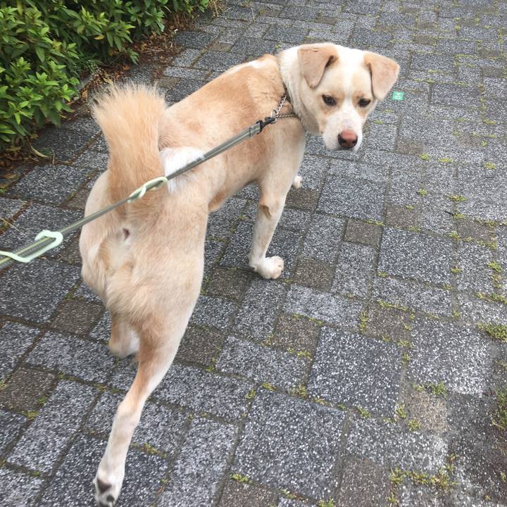 22f5f975 081d 49b7 95c2 df1b6e5fafb9