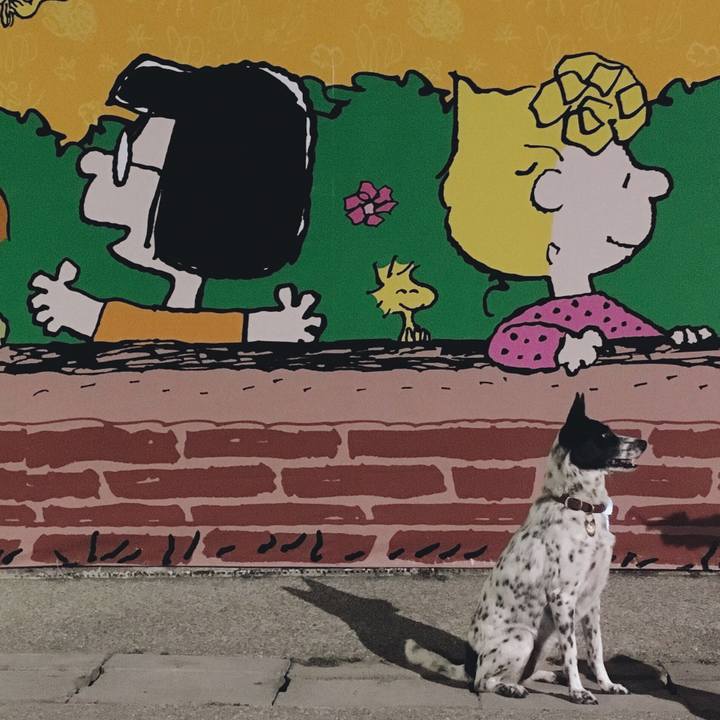 22f62334 b951 4033 95c9 8999d97e1758