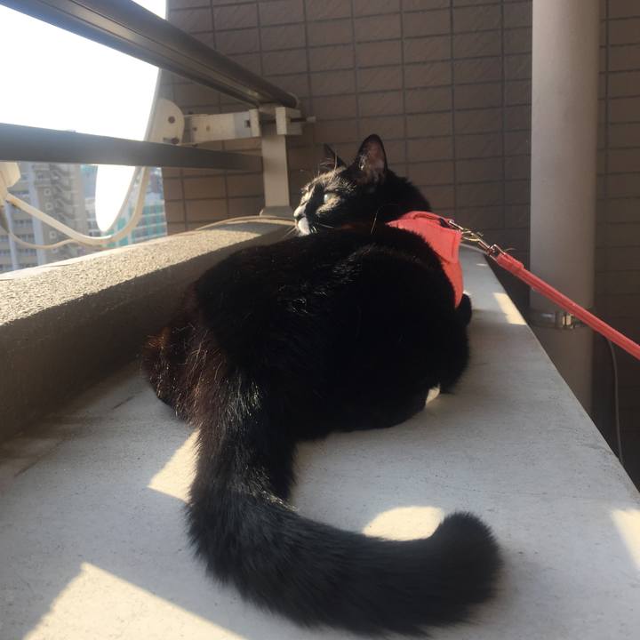 22f66155 ab96 4489 95a2 a31c49aa28d1