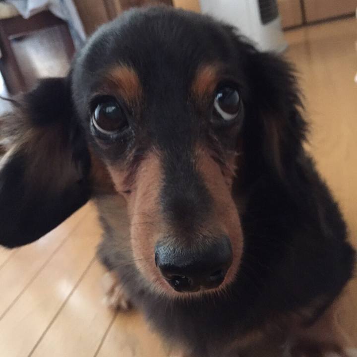 22f6ac86 4015 41f0 a617 984ba05ad7b6