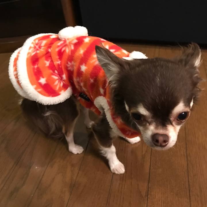 22f6b2cf 3eb8 48e9 ba0b 964b74d74f94