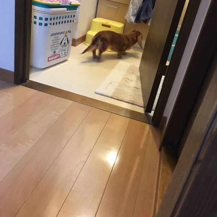 22f74e11 5236 40b8 aae1 7018a2974f68