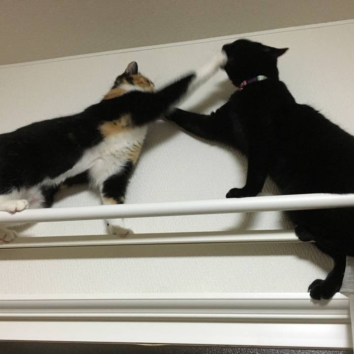 22f7accd 6d08 41da bed4 feb4071bda24