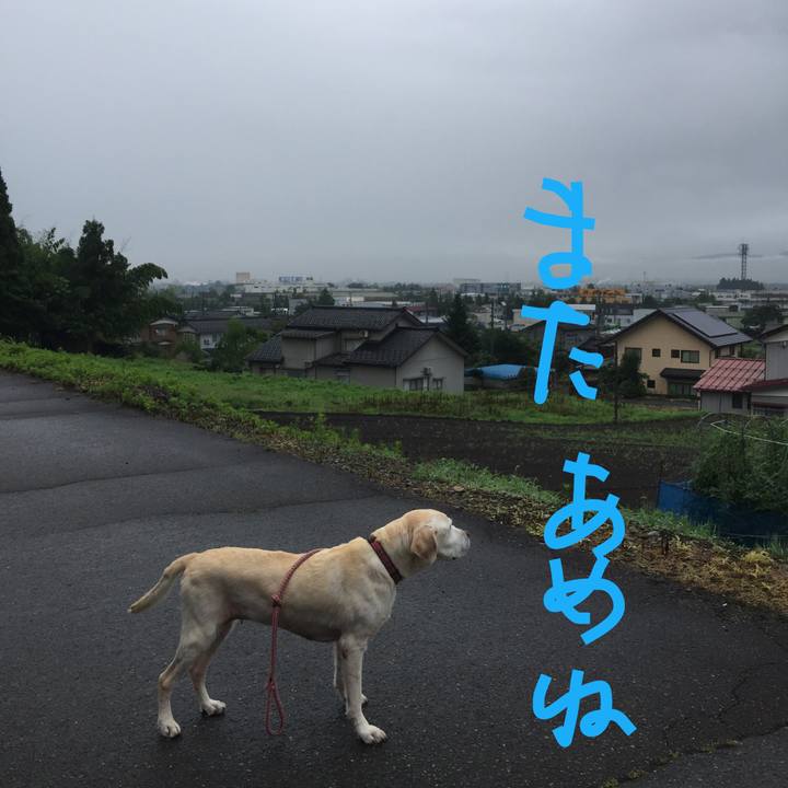 22f852d0 1186 4592 b2e9 deede99b60d7