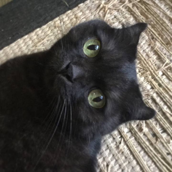 22f8b1d1 515b 49bc 973f ecbda0d99760