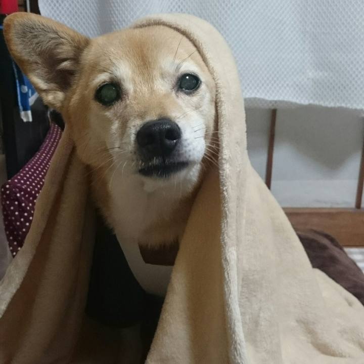 22f9479a d881 437d bff9 d690de47b544