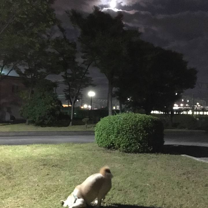 22f9786f be78 4264 a542 b15de88ffb23