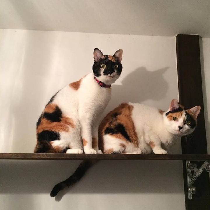 22fb012d 5d0d 4597 bb4f 3a3e0087324f