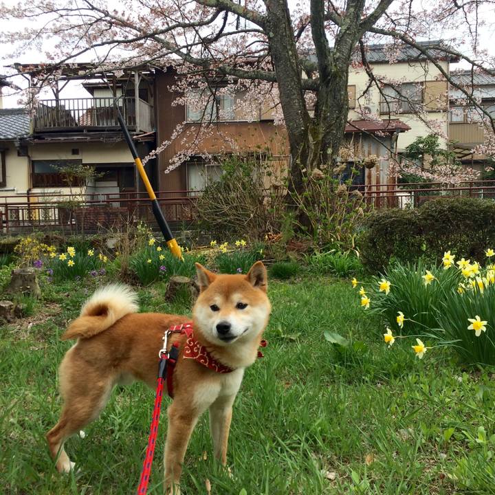 22fb013c 9b0c 439e a7a9 191b1a6bf391