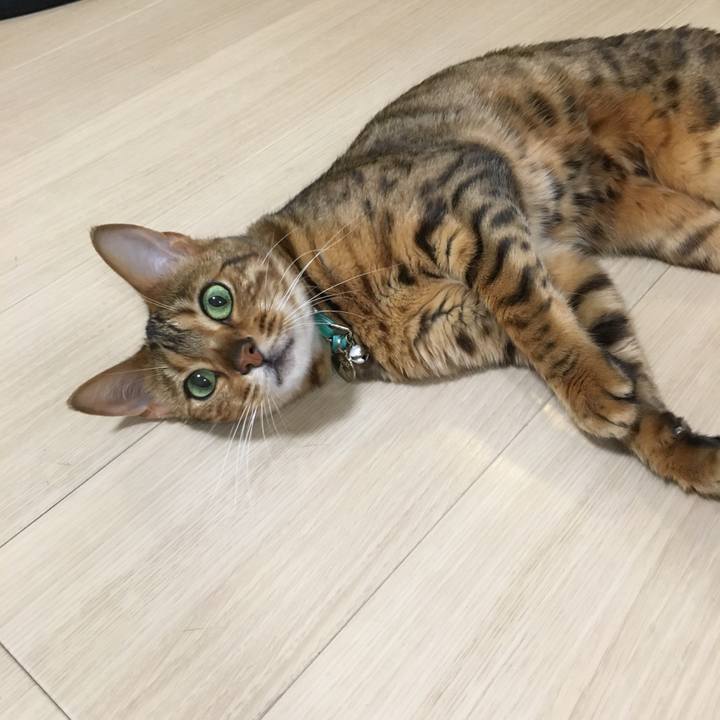 22fb201a 5d5f 4bc2 b462 c66aa5ac7057