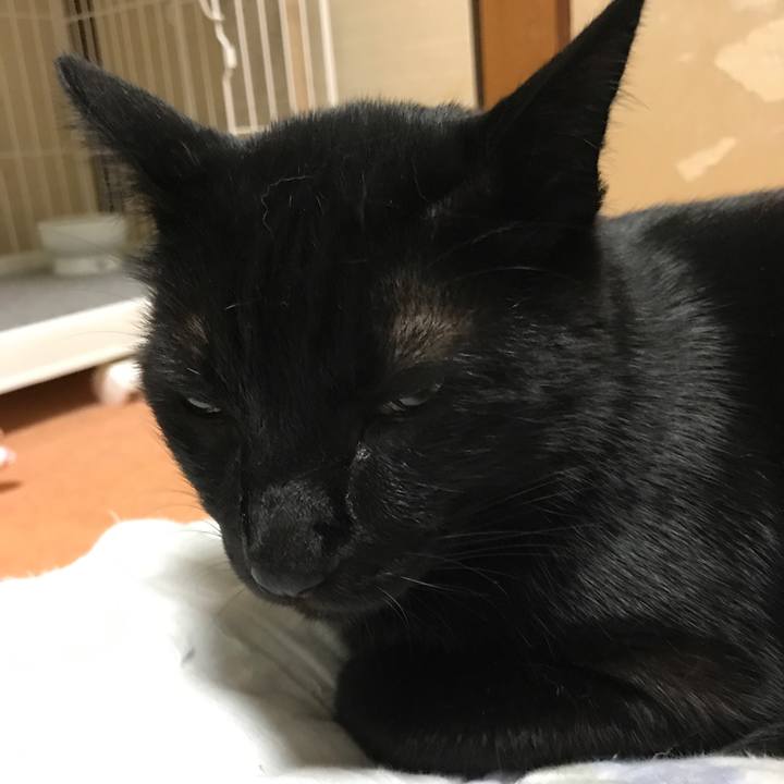 22fb59e7 b789 497e 95d6 b6a8993fd5a1