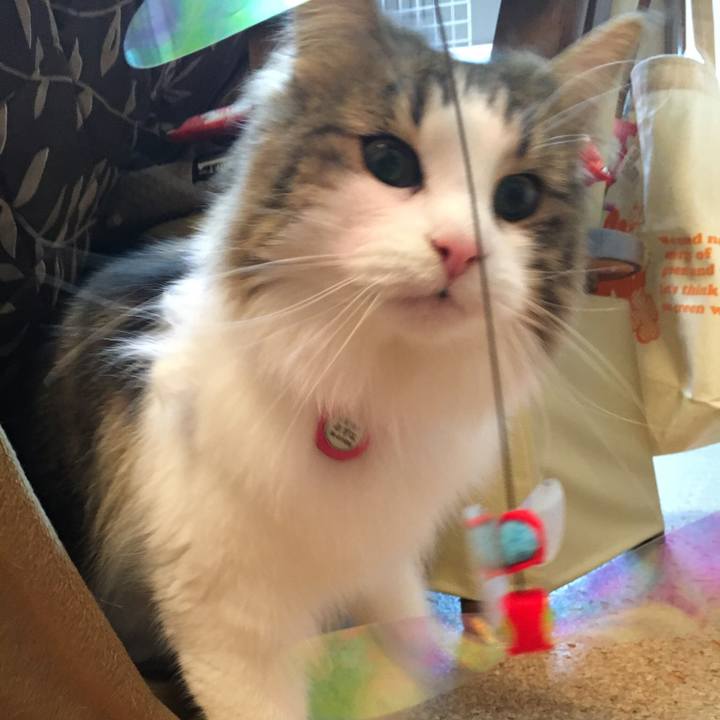 22fc44b4 d8e5 4e75 ab28 5408b1fd2bba