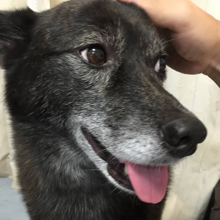 22fc50d7 dcda 4edc 858f 911cf125c56b