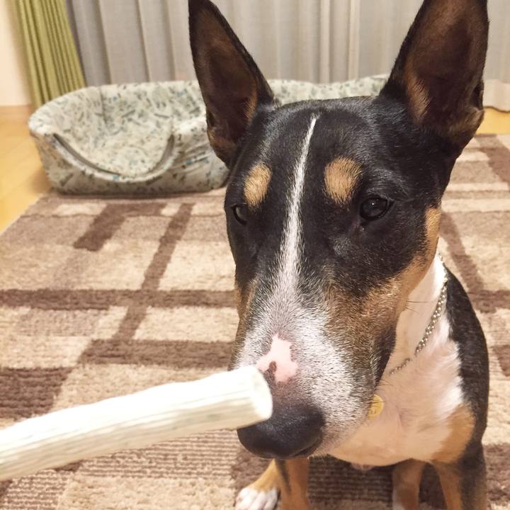 22fc7710 f90a 4919 8133 a4d108b18948