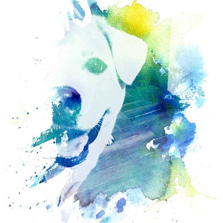 22fd5829 4cb0 404d b6ff ad7b6ddea9a0