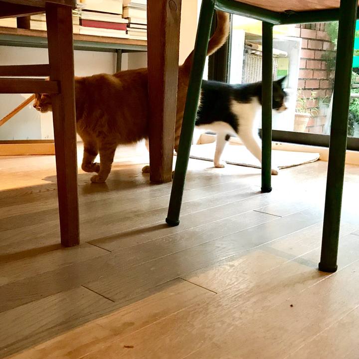 22fd72e3 7bd0 45c5 ae20 62256c5e57d6