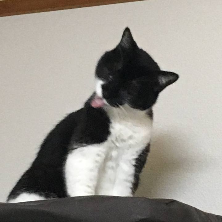 22fdd817 f1c2 47e2 adec 89cce5d40f37