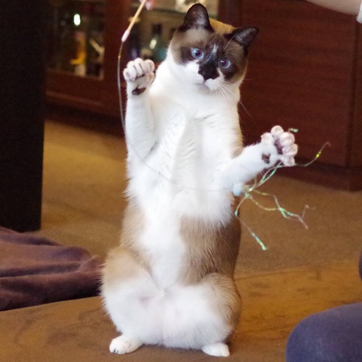 22fe7abe e4e4 43e9 b104 f5c4fe8fd7af