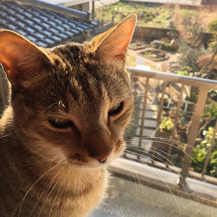 22fe96d0 3f13 43d0 9f0c 2bda7a0b4fd7