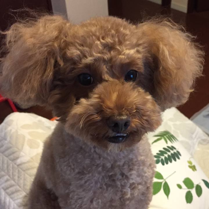 22feb2d8 1a8a 428e b442 3eded9c23fb7