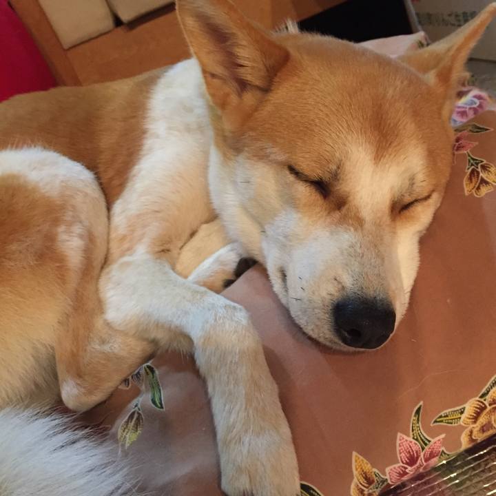 22ff0b7f 2ed5 4b53 95f0 e191c700822b