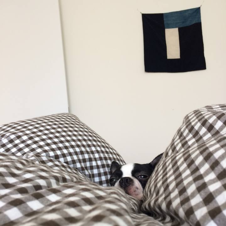 22ff0d26 3187 40e8 a604 544b44766072