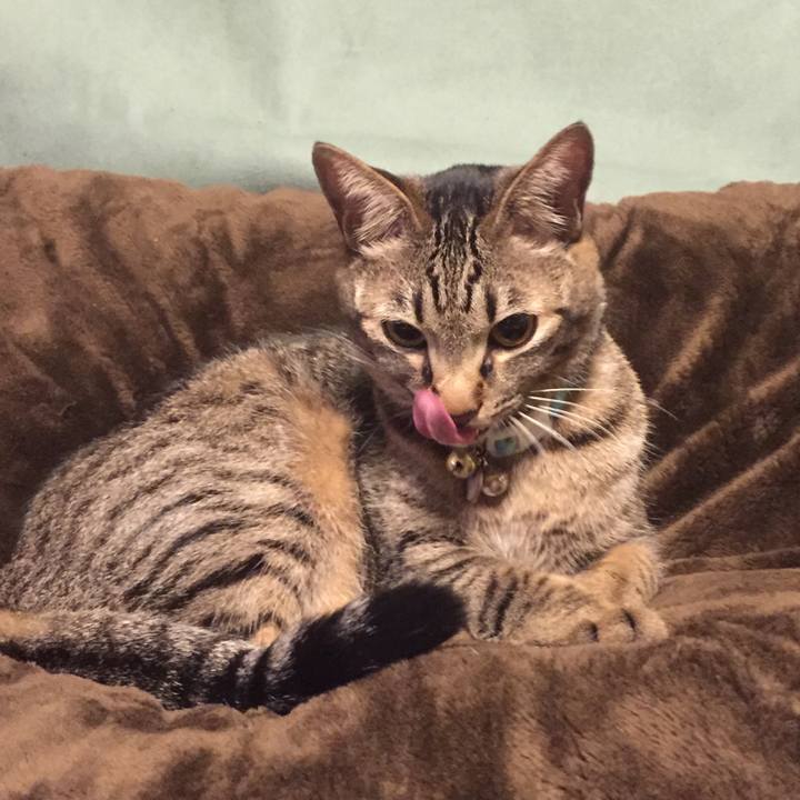 22ff4e47 a9d8 4b31 ad99 d7cd33270606