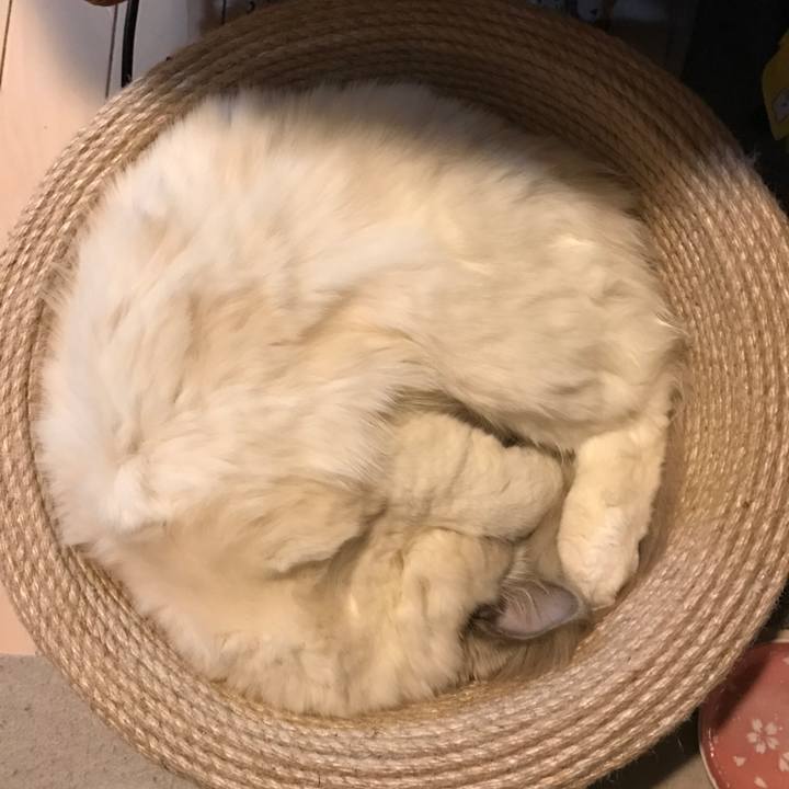 23004288 de26 424c 9f18 63d8294cca20