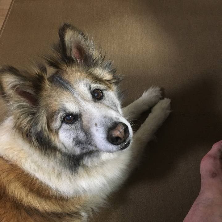 23009cb4 15fa 4e49 8025 5beb0e8eacab