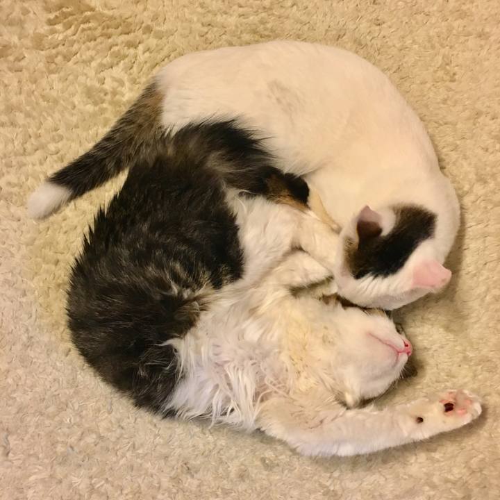 2300b3cc 8f0e 46ac 9324 e335618495ed