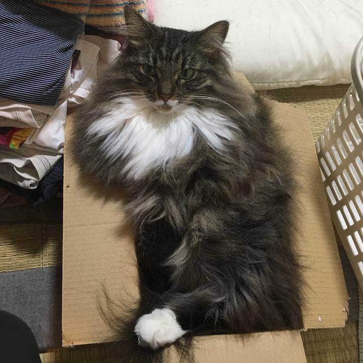 2300f2da 6ecf 44d7 a17c 3e0fbc1804ba