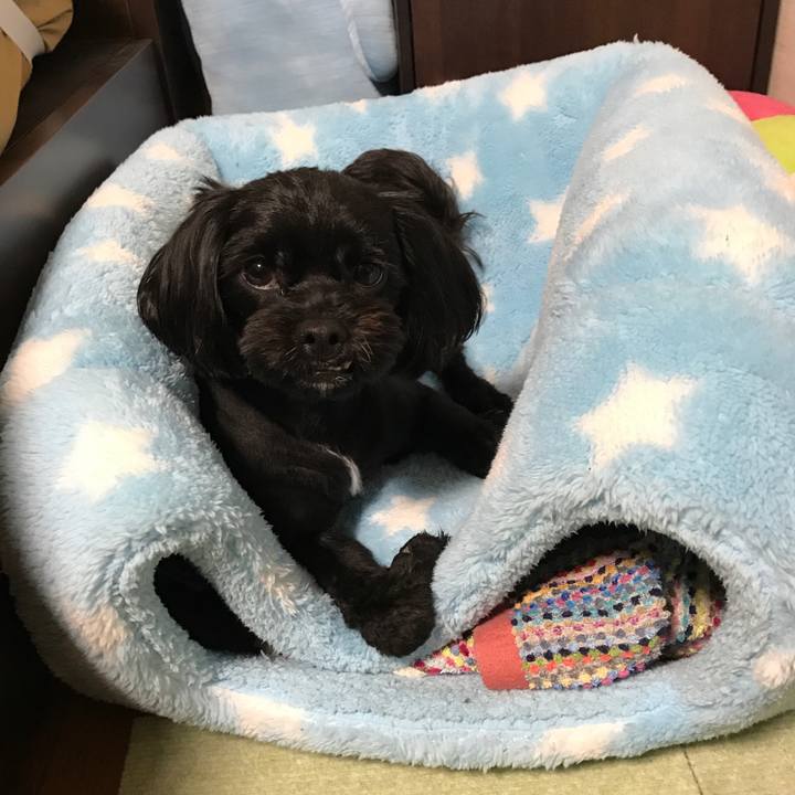 23012269 7d24 46bf ae5b d37d59e08694