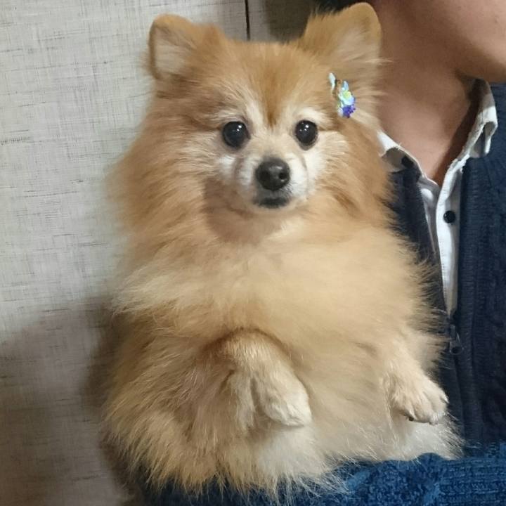 2301441f 19f6 44e3 9c32 14ae9d6bbab9