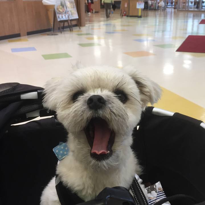 230197d3 06d3 4a5e 98aa 143c391292ac