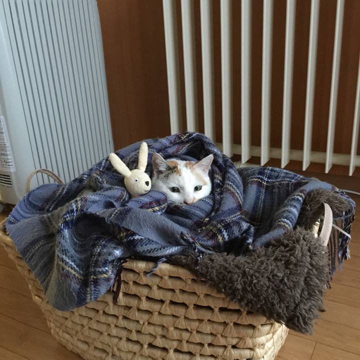 2301fad9 347c 4784 88dc 33fcabbcb68f