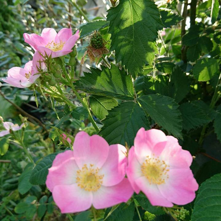 23021291 4223 4fcd 9546 af9cdea1ee8e