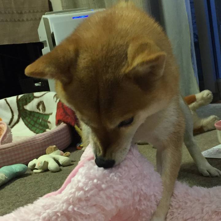 23023621 8ddd 465b 84fc 219185c67a8d