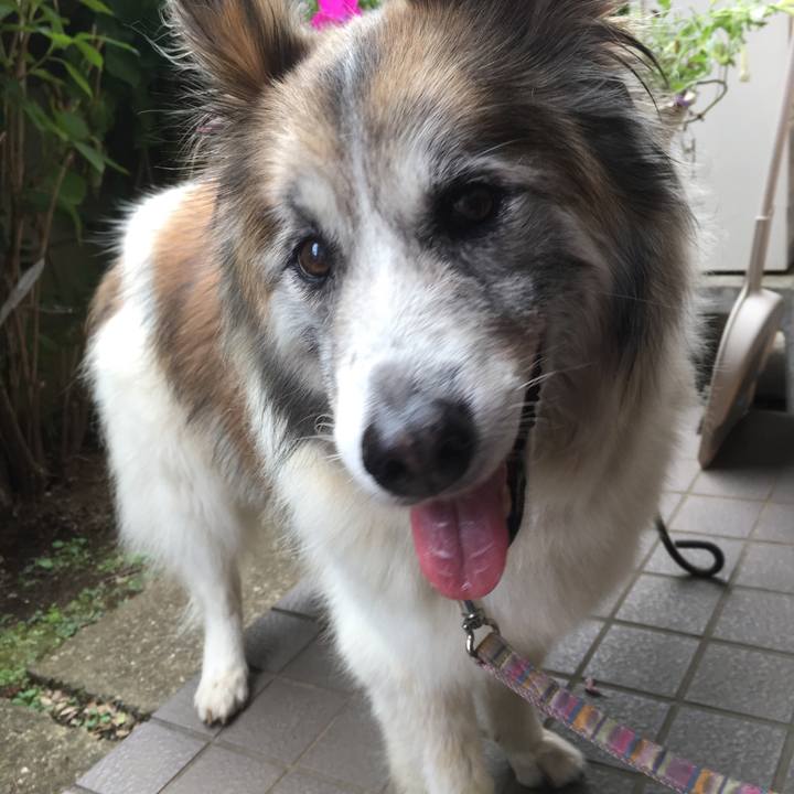 23028929 8673 41f1 abd5 05eb07afed17