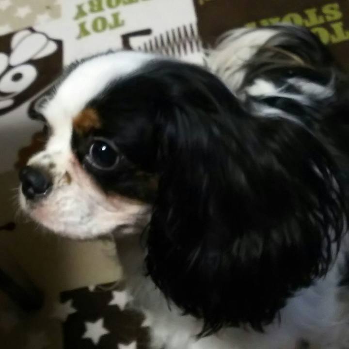 23028999 de78 4d7f a099 7c3baefa4360