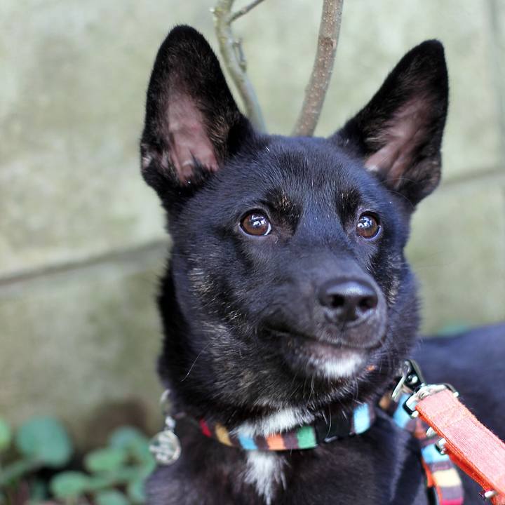 2302c211 8d4e 4c40 84c6 184b7e5ebd13