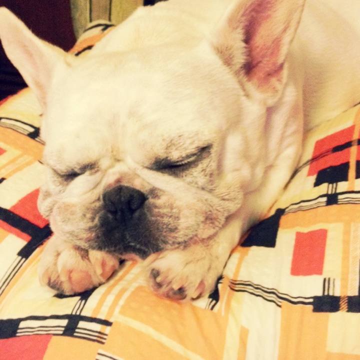 23032ca6 51ad 4469 be85 49be08642728