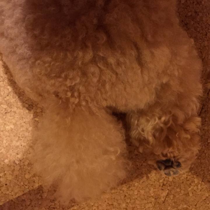 230408a7 19d5 4cec ba31 70a835090bd6