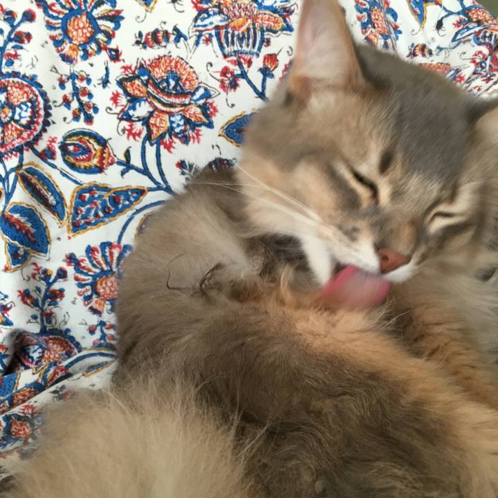 23042407 411d 4604 b1d4 3ea9701d3672