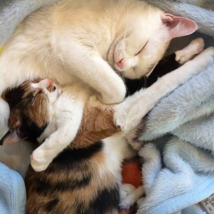 23044248 3513 4a76 bf0d 10f2e75beddb