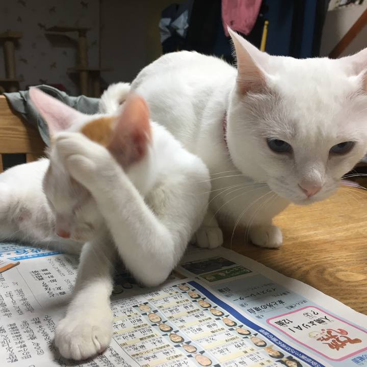 23056b2e a597 4e4a a49b d6c7ccabb1be