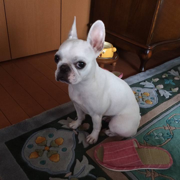 23057350 50ac 4be7 9940 71df75ce85dd