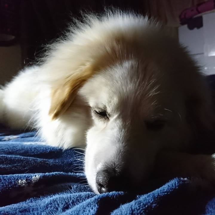 23057a8c 6647 466a a8d4 35a248050621