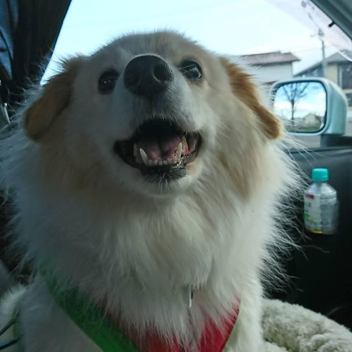 2305ce5e e3af 4c5a b486 6a0b24b62077