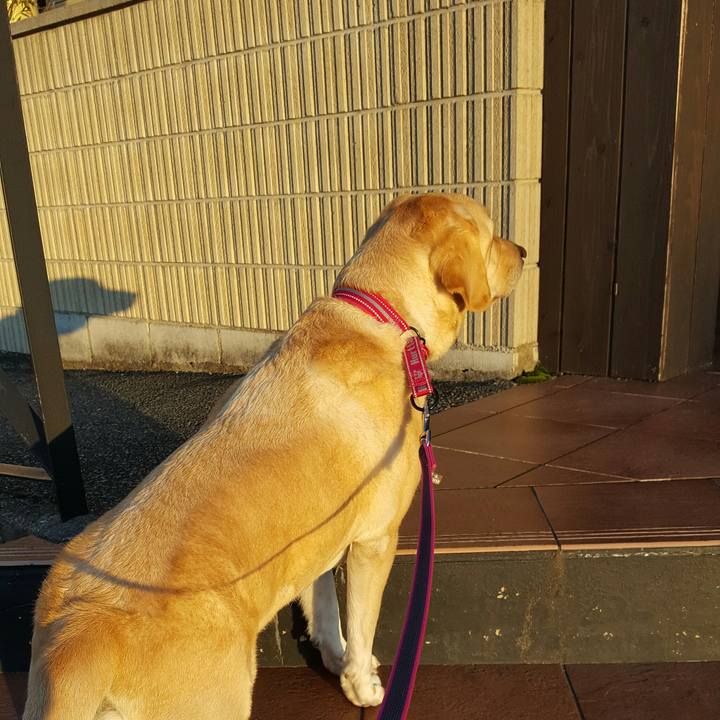 2305f197 2778 4d8b be20 e42fe77c0dde