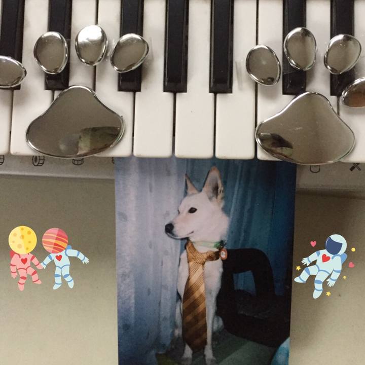 23061797 abd1 4b06 bead 44d70602232e